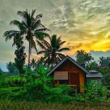Citra Homestay Tetebatu Esterno foto