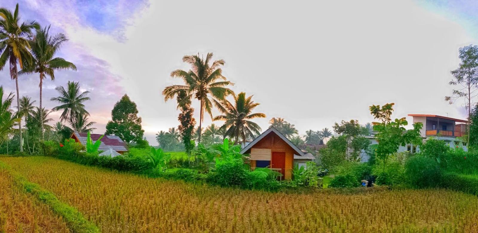 Citra Homestay Tetebatu Esterno foto