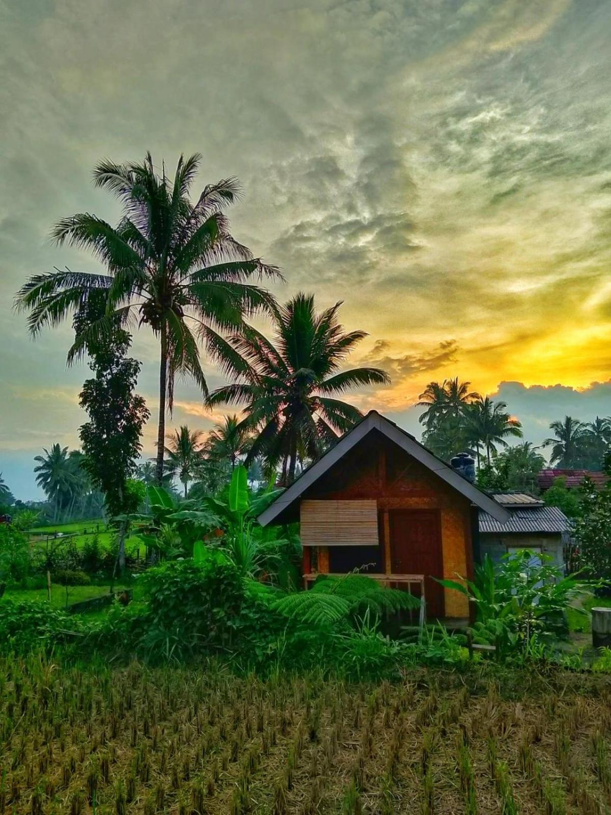 Citra Homestay Tetebatu Esterno foto
