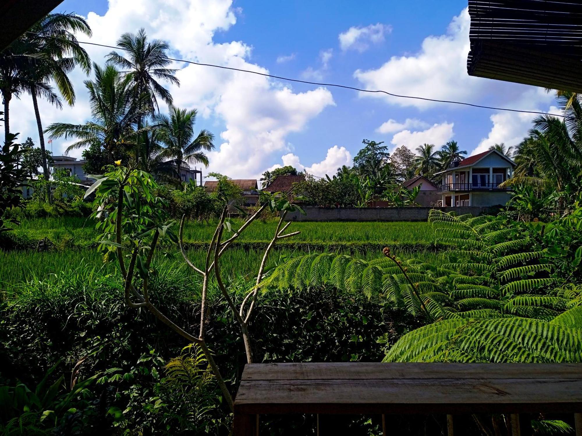 Citra Homestay Tetebatu Esterno foto