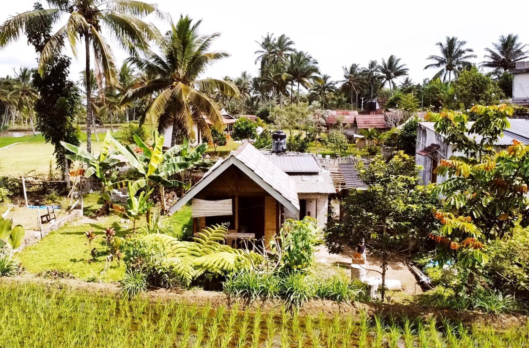 Citra Homestay Tetebatu Esterno foto