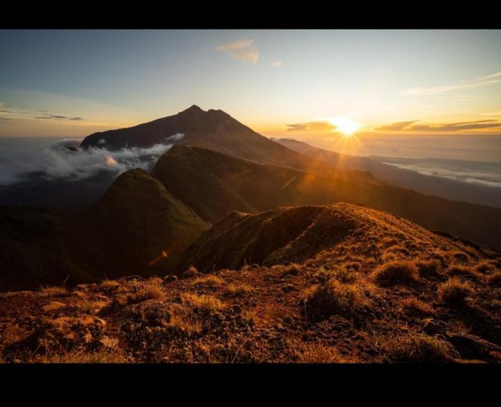 Citra Homestay Tetebatu Esterno foto