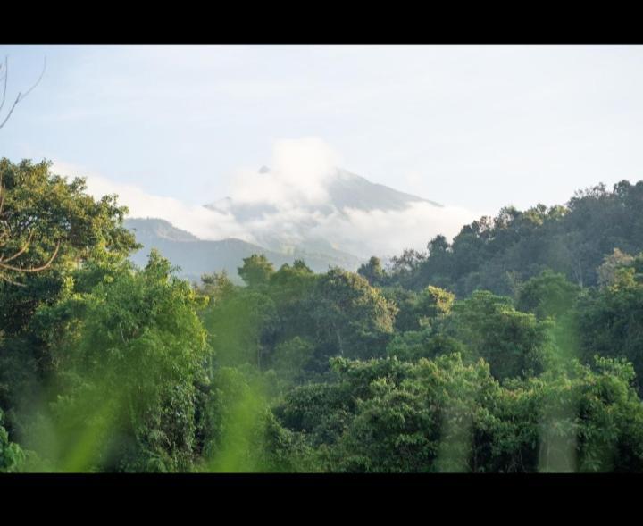 Citra Homestay Tetebatu Esterno foto