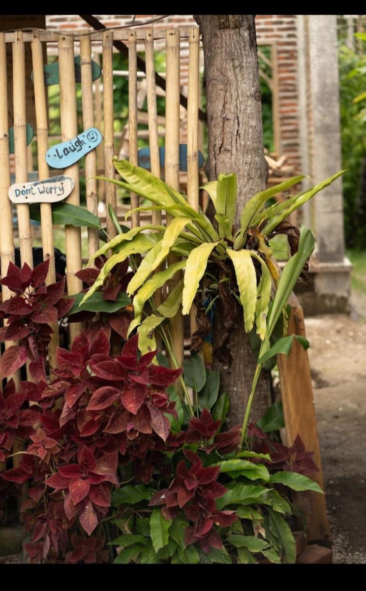 Citra Homestay Tetebatu Esterno foto