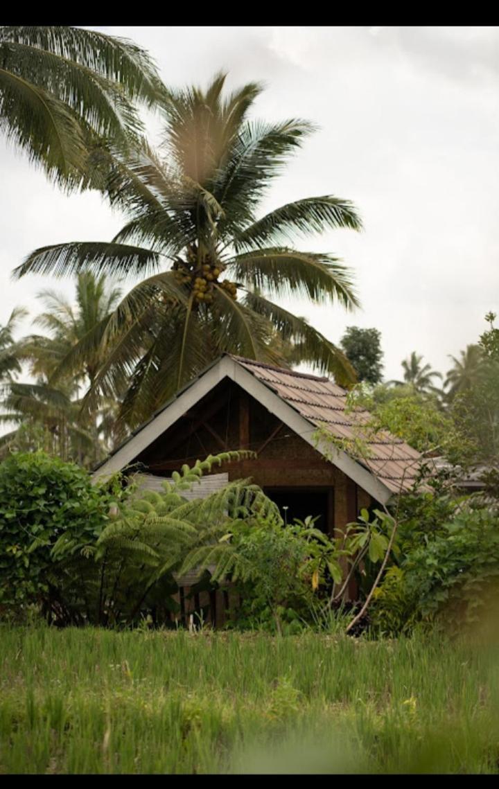 Citra Homestay Tetebatu Esterno foto