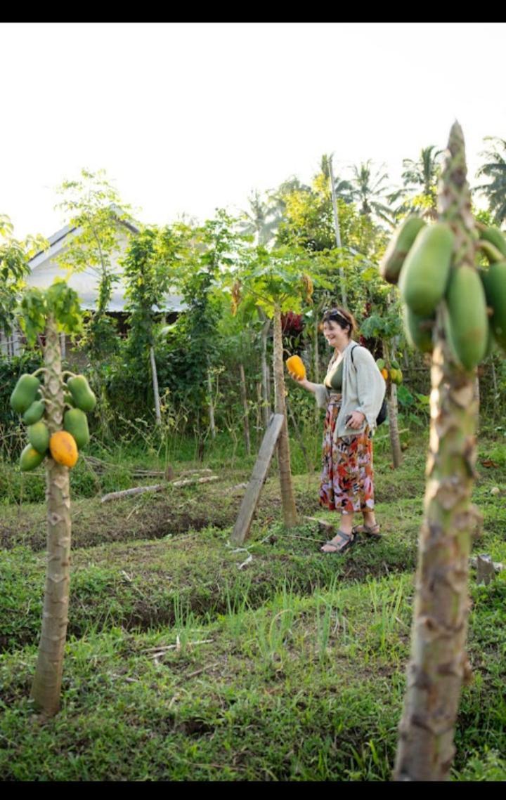 Citra Homestay Tetebatu Esterno foto